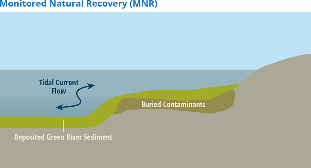 Illustrative graphic that shows monitored natural recovery. The graphic shows buried contaminants beneath deposited clean Green River Sediment. The tidal current flow is washing over the sediment.