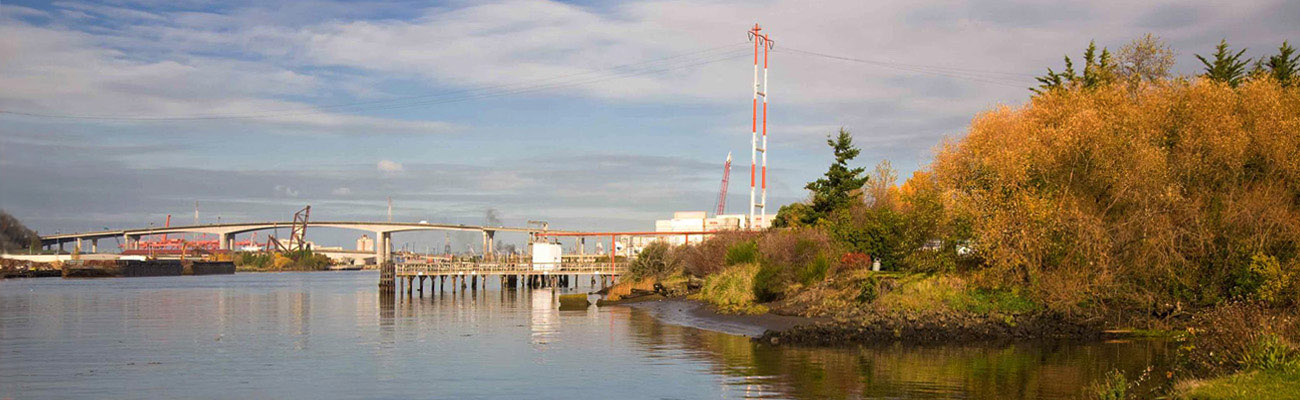 Photo of Lower Duwamish River looking North. Image shows a dock, shoreline, and the West Seattle Bridge in the distance.